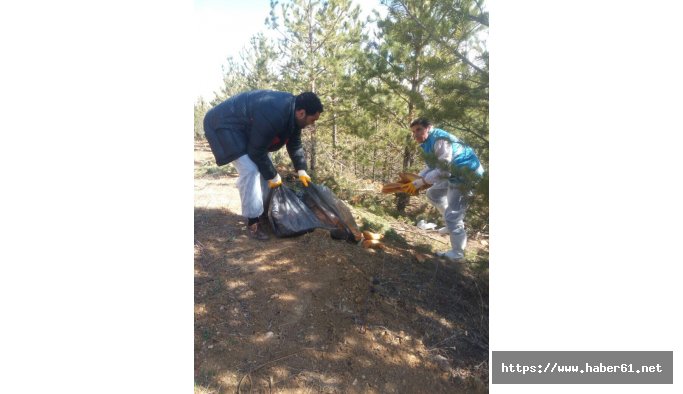 Yabani hayvanlar için doğaya yem bıraktılar