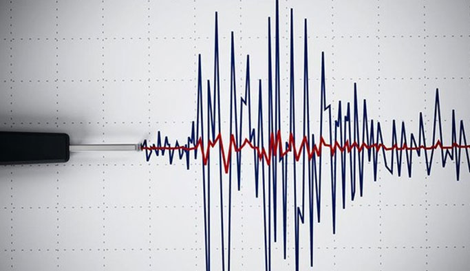 Korkutan deprem 4.0 ile sallandılar