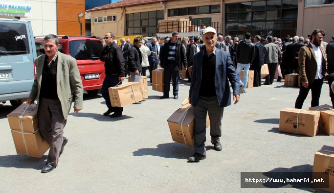 Samsun'da arıcılık gelişiyor