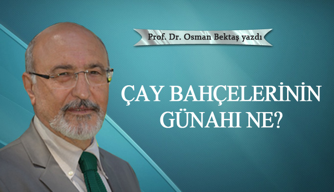 Çay bahçelerinin günahı ne?