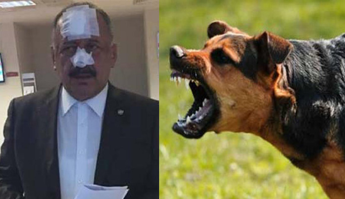 Kaymakamlık köpeği, muhtarı ısırdı