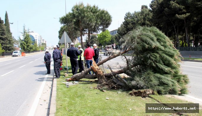 Samsun’da trafik kazası: 2 ağır yaralı