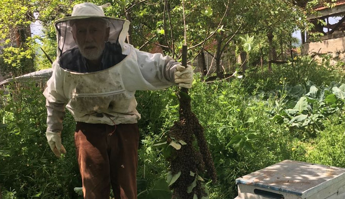 Ordulu dedenin oğul arısı sevinci