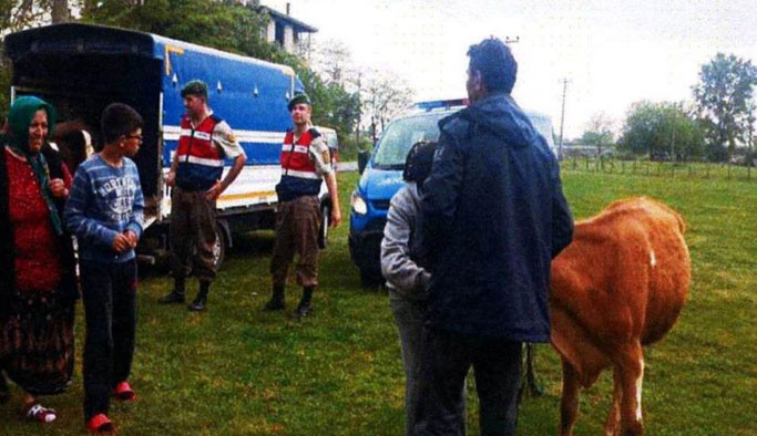 Ordu’da hayvan hırsızlığına 1 tutuklama