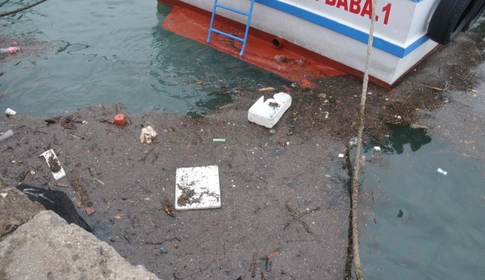 Karadeniz çöpleri limana taşıdı