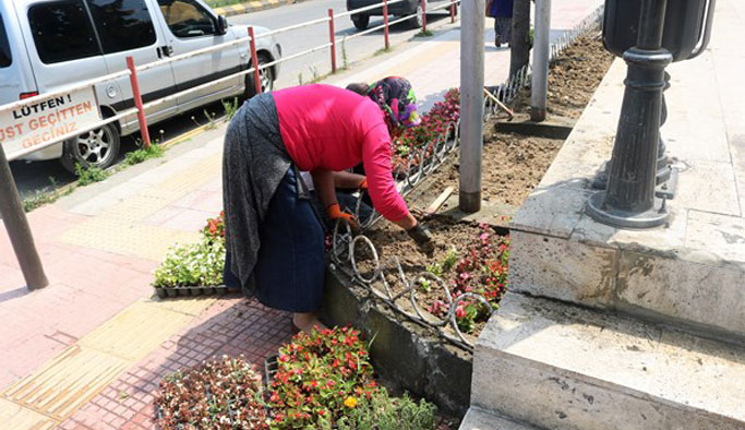 Akçaabat'ta baharın renkleri sokaklarda