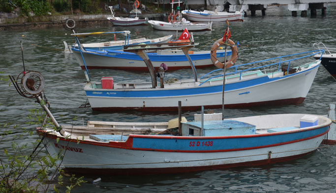 ‘Orta su trol balık avcılığı yasaklansın