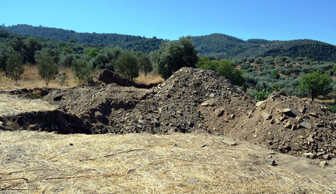 9 yıl sonra gelen itiraf: Öldürüp zeytinlik alana gömdüm