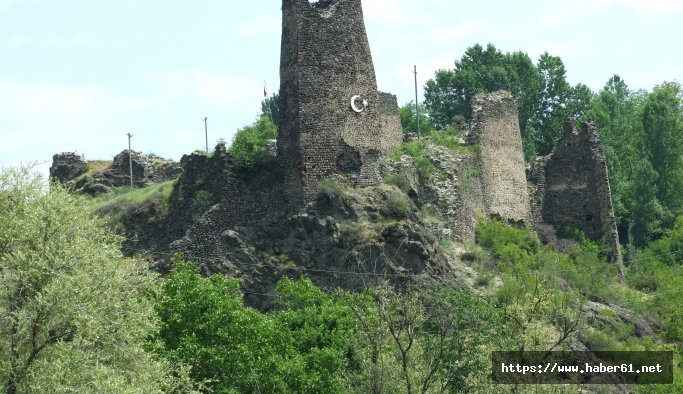 Şavşat Kalesi kazıları yıl sonunda bitiyor