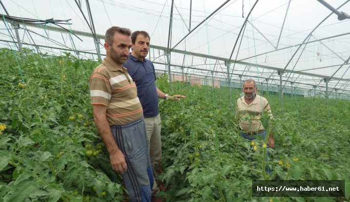 Akçaabat'ta beton artıyor, tarım arazileri küçülüyor