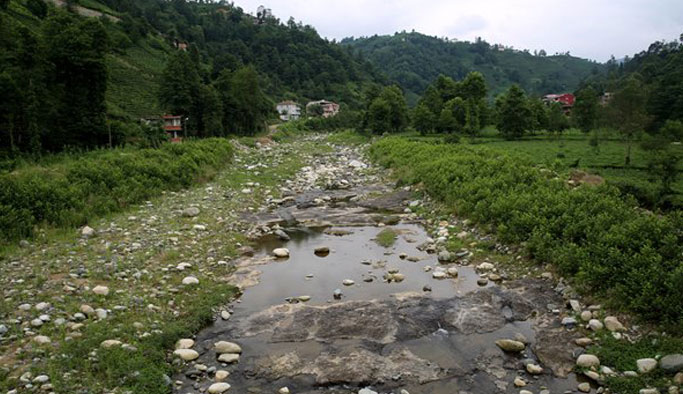 Rize'de dereler bu yıl da suya hasret kaldı