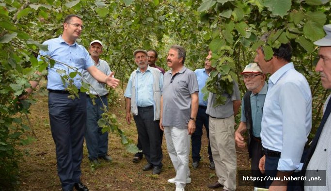 Örnek fındık bahçeleri kazandıracak