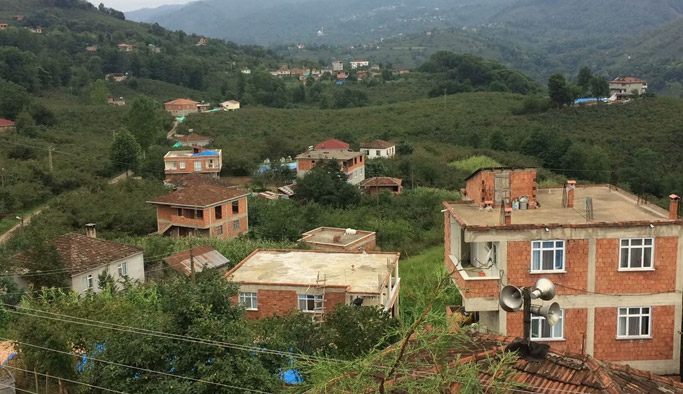 Karadeniz ilinde şarbon paniği