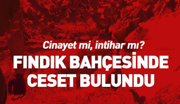 Fındık bahçesine gitti, cesedi bulundu!