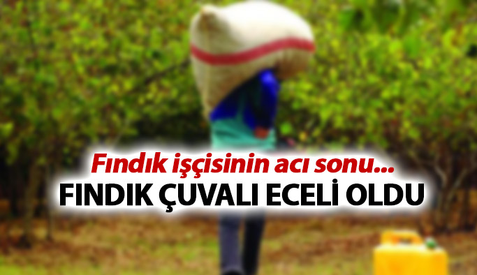 Fındık işçisinin eceli fındıktan oldu