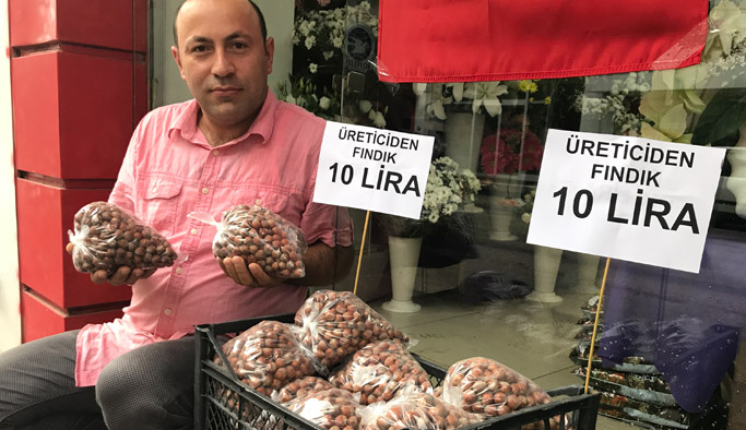 Üretici fındığa çare arıyor