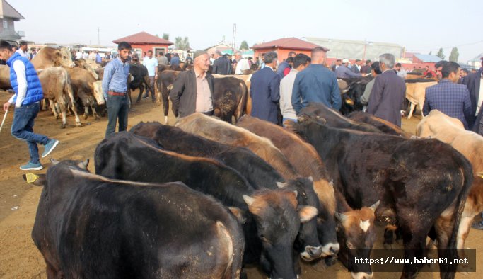 Besiciler, yükselen saman fiyatından şikayetçi