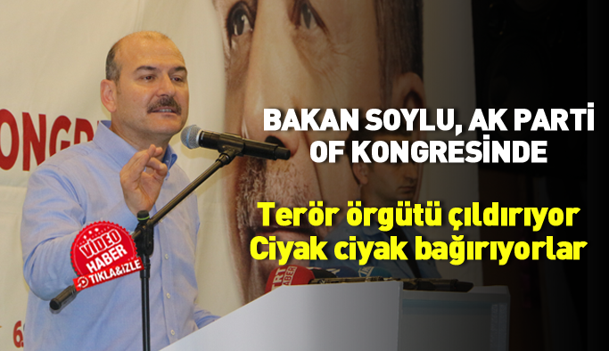 Bakan Soylu, AK Parti Of kongresinde