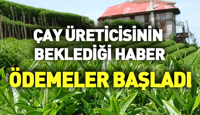 Çay üreticilerine müjde! Ağustos ödemeleri başladı