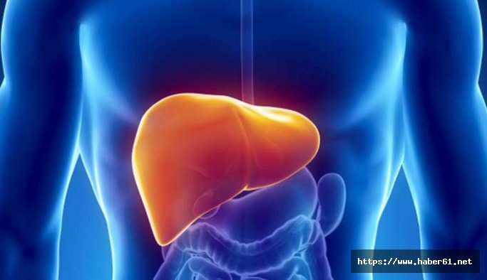 Hepatit C artık çok etkili tedavi edilebiliyor