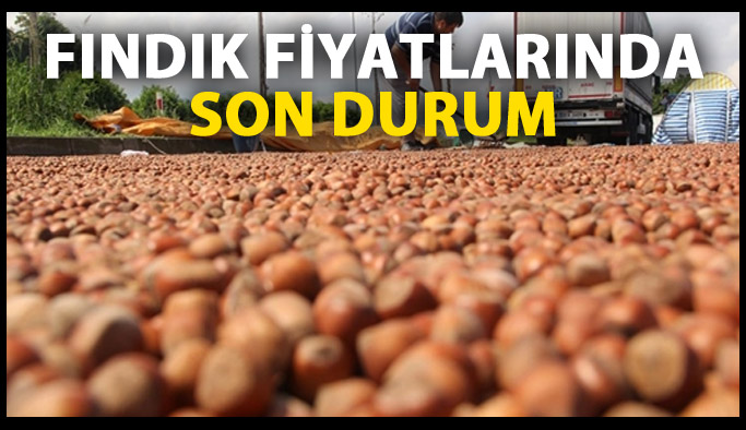 Fındık fiyatları ne kadar? Fındık fiyatında son durum ne? - 03 Ekim 2017