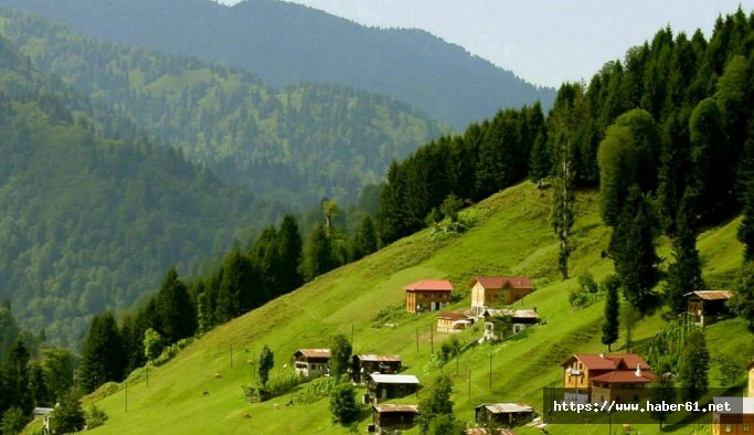 Bitlisli öğrenciler Artvin'i gezecek