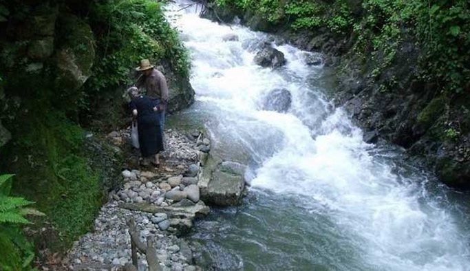 Çağlayan Deresi'ndeki HES'in ÇED raporu iptal edildi / Artvin haberleri