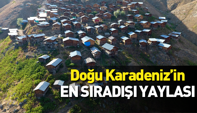 Doğu Karadeniz’in en sıra dışı yaylası