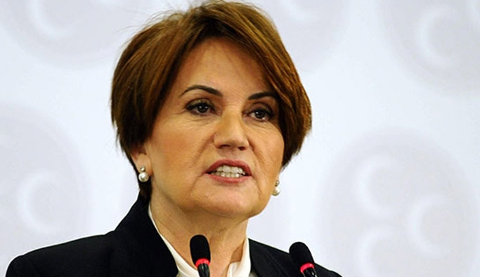 İşte Akşener'in partisinin kurucu üye listesi ve logosu