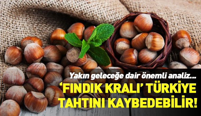 Fındık kralı Türkiye, tahtını kaybedebilir!