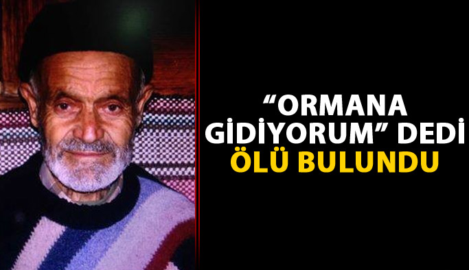 "Ormana gidiyorum" dedi ölü bulundu