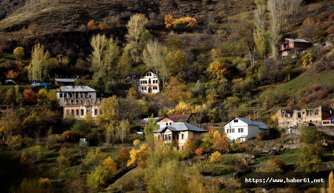 Sonbaharın renkleri büyülüyor