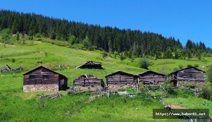 Karadeniz yaylaları Yeşil Yol ile bağlanıyor