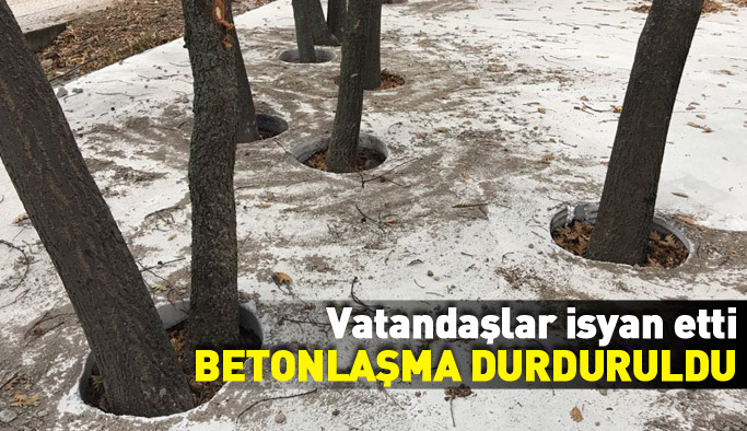 Vatandaşların tepkisi betonlaşmayı durdurdu