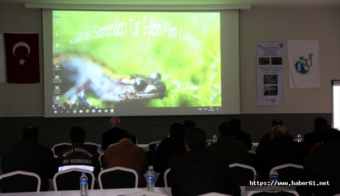 Nesli tehdit altındaki Kafkas semenderi için eylem planı