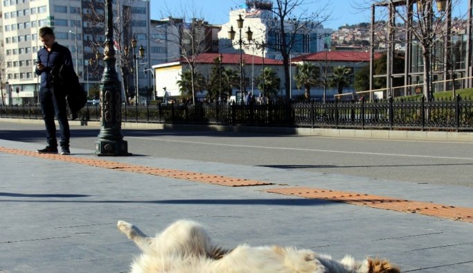 Samsun’da yazdan kalma bir gün