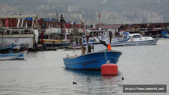 Trabzon'da Faroz balıkçı barınağına tahliye kararı