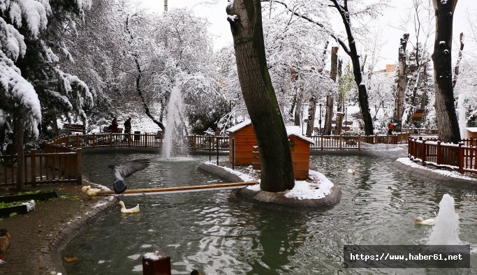 Ankara’da kar kartpostallık görüntüler oluşturdu 