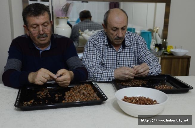 Fındık üreticilerinin yeni yıl umudu