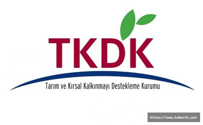 TKDK'dan 252 milyon euro hibe