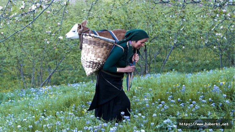 Karadeniz'in çalışkan kadınları