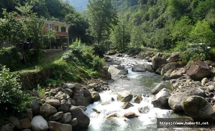 Arılı Vadisi HES'ten kurtuldu, yöre halkı horonla kutladı