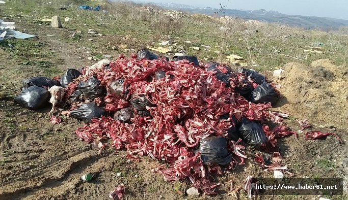 Kamyon dolusu hindi kemiklerini yola attılar - Bursa haberleri