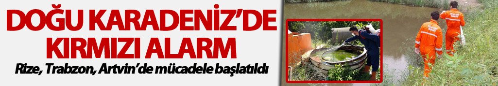 Kırmızı alarm: Rize, Trabzon ve Artvin'de mücadele başlatıldı