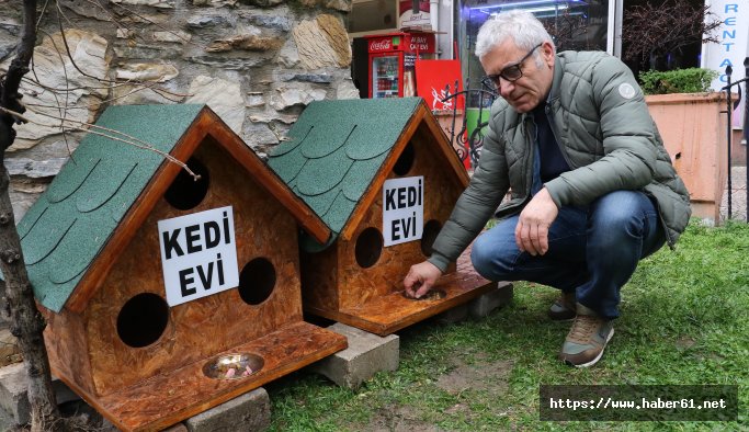 Kedi ve kuşlar için barınak yaptı - Samsun haberleri