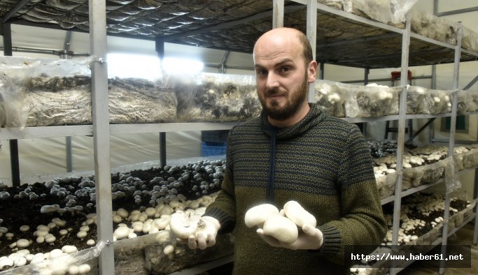 Gümüşhaneli genç çifti bölgenin en büyük mantar üretim tesisini kurdu