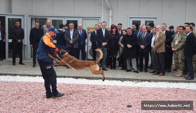 Cesetleri köpek Abrek bulacak