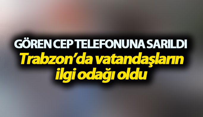 Trabzon'da gören cep telefonuna sarıldı