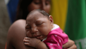 Giresun'da Zika Virüsü'ne karşı tedbir için toplandılar