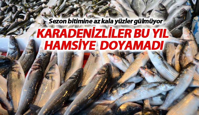 Karadenizliler bu sene hamsiye doymadı